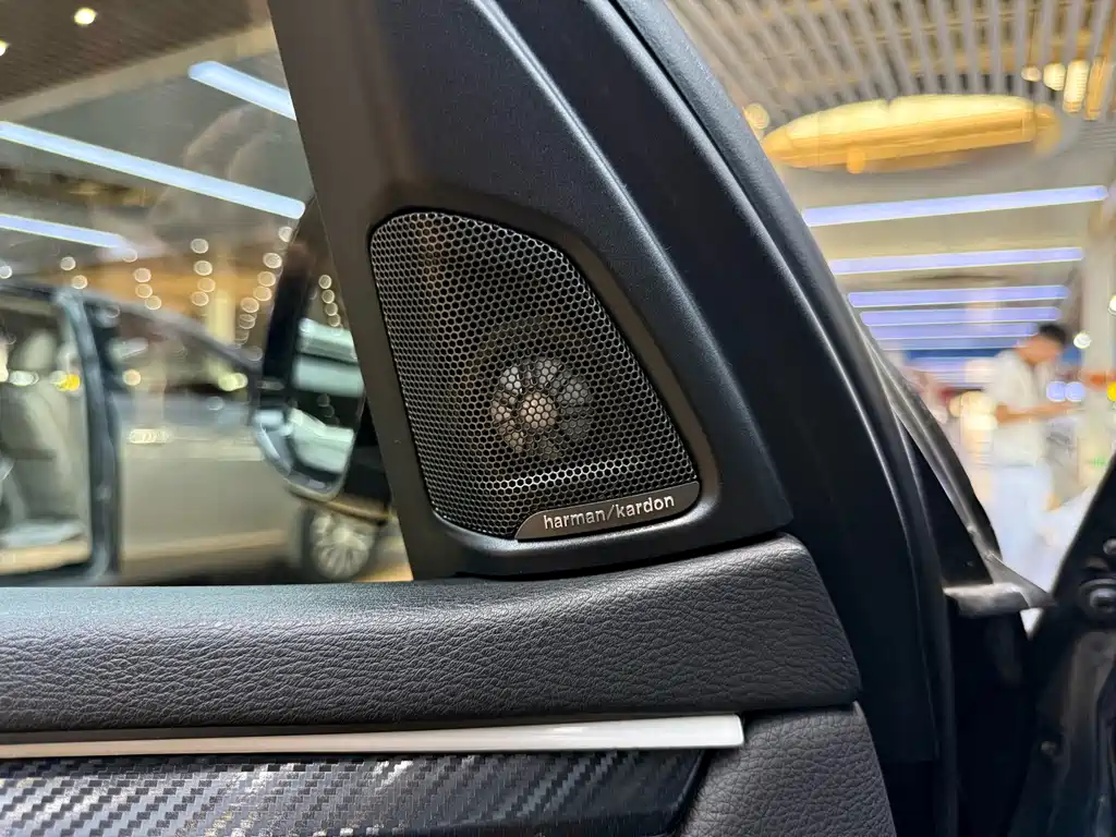 BMW X5 (Import) — миниатюра 18