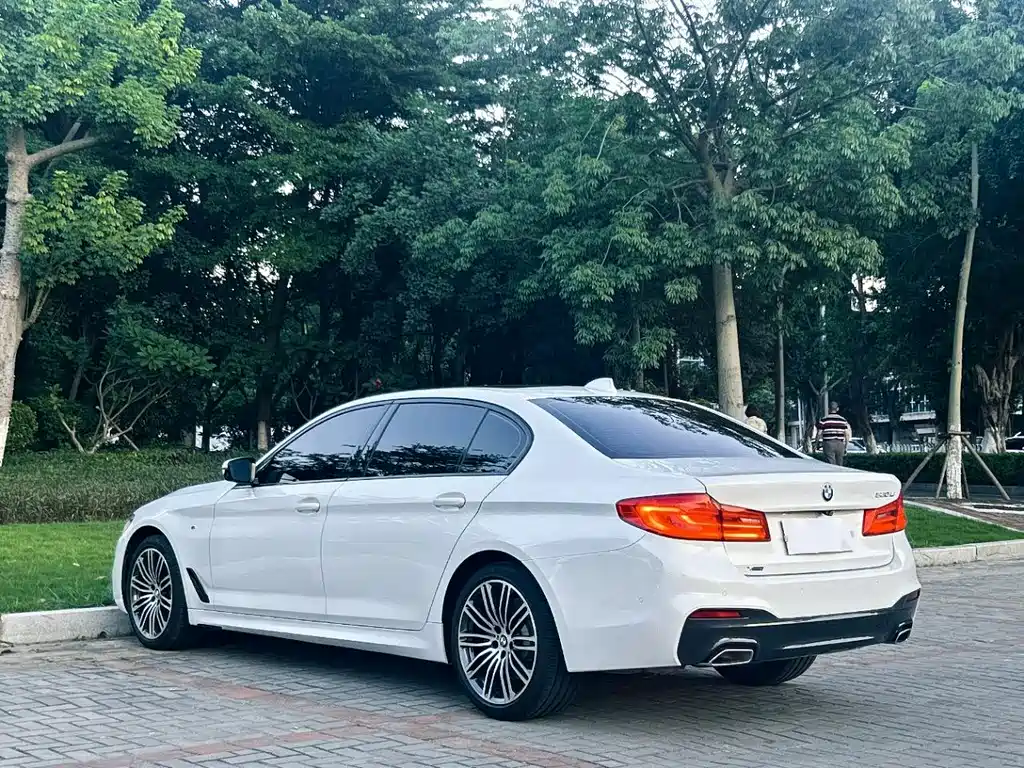 BMW 5 Series 5 2019 530Li xDrive M Sport