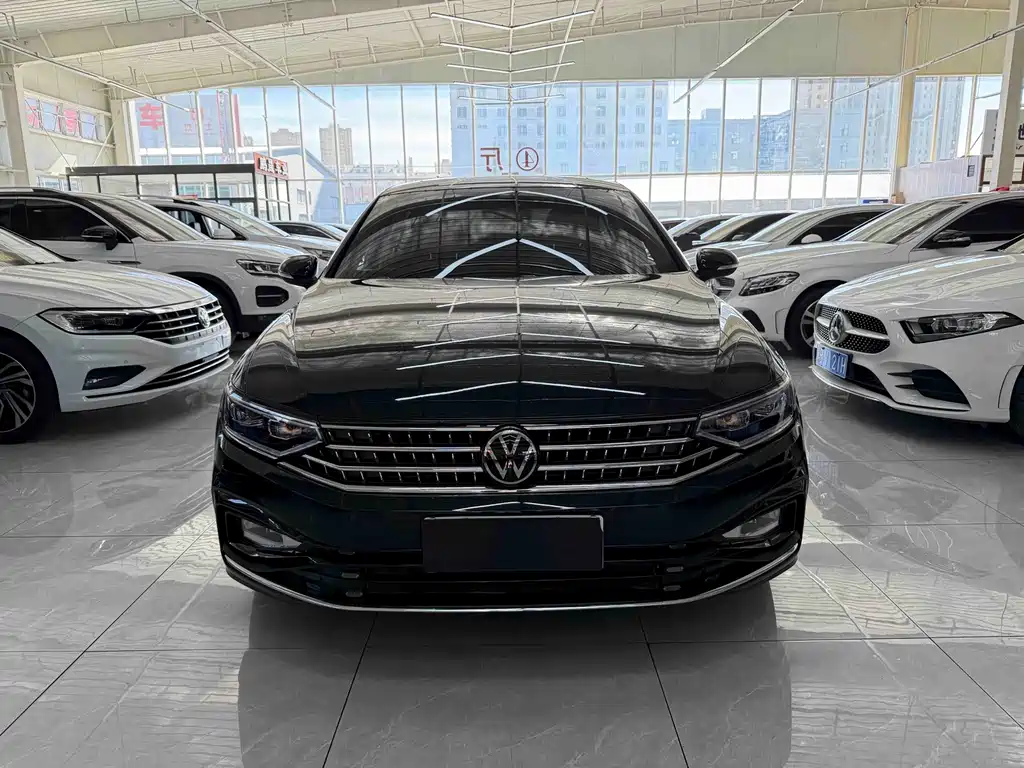 Volkswagen Magotan — миниатюра 2