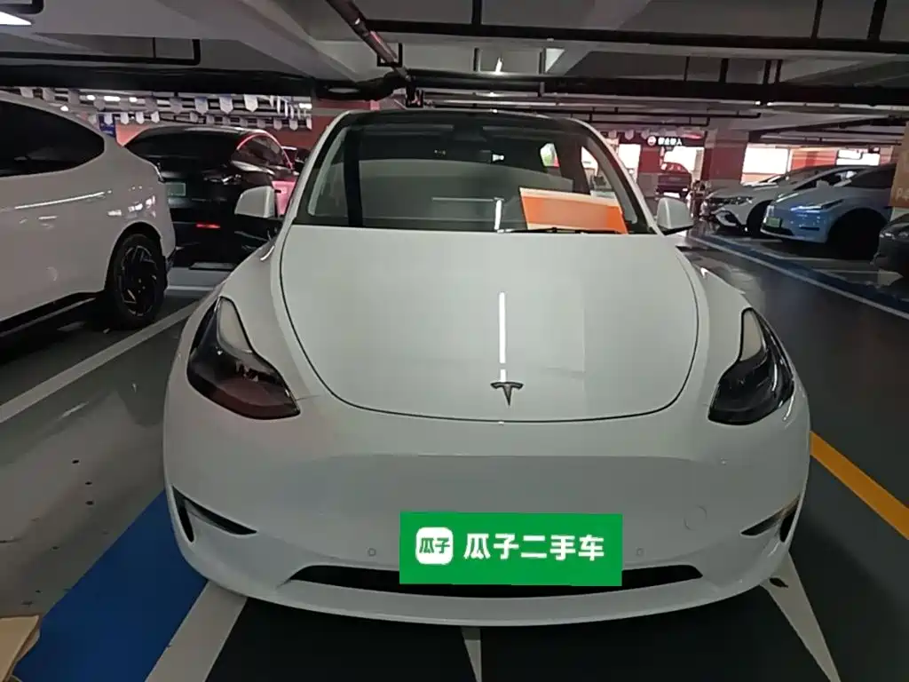 Tesla Model Y — миниатюра 3