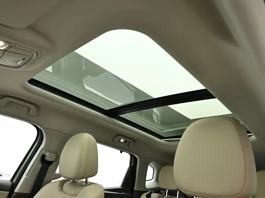 Haval Big Dog PLUS New Energy — миниатюра 11