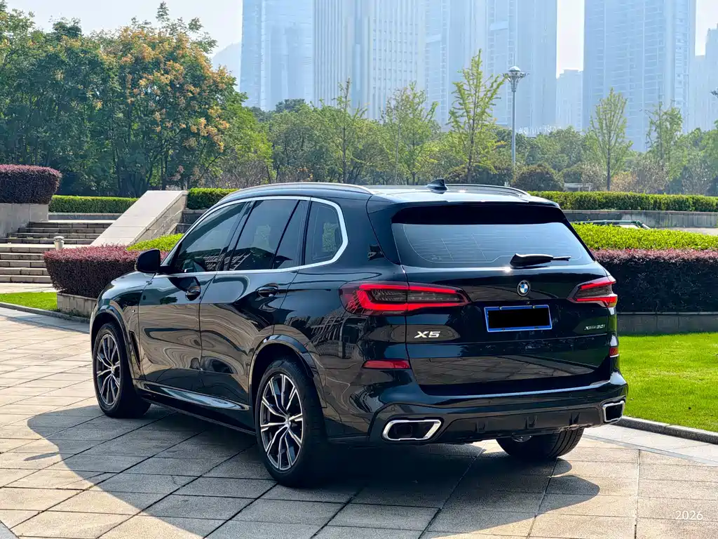 BMW X5 (Import) — миниатюра 18