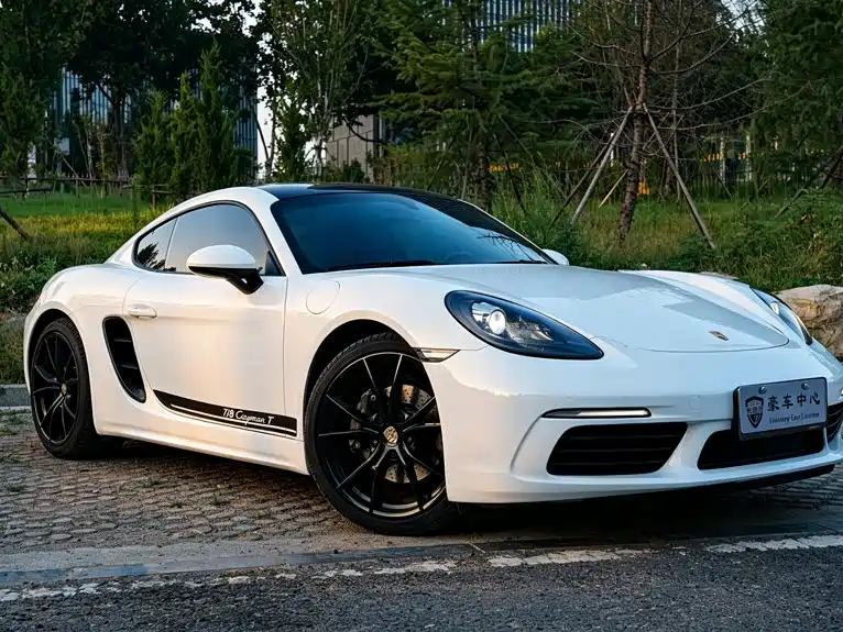 Porsche 718 — миниатюра 14