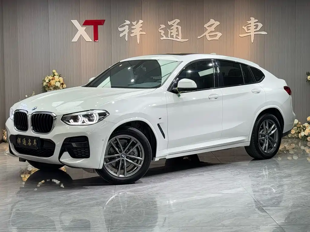 BMW X4 2019