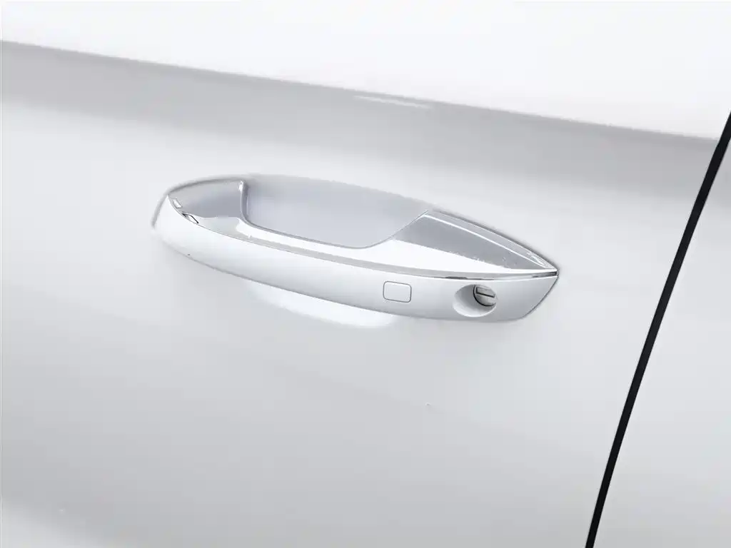 BYD SONGJIANG NEW ENERGY