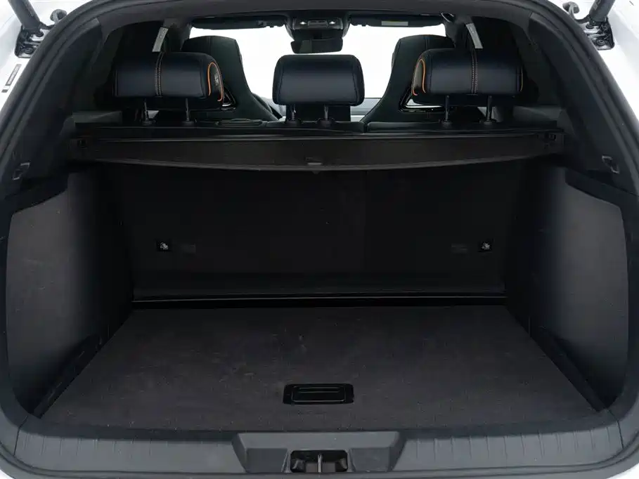 BYD SONGJIANG NEW ENERGY