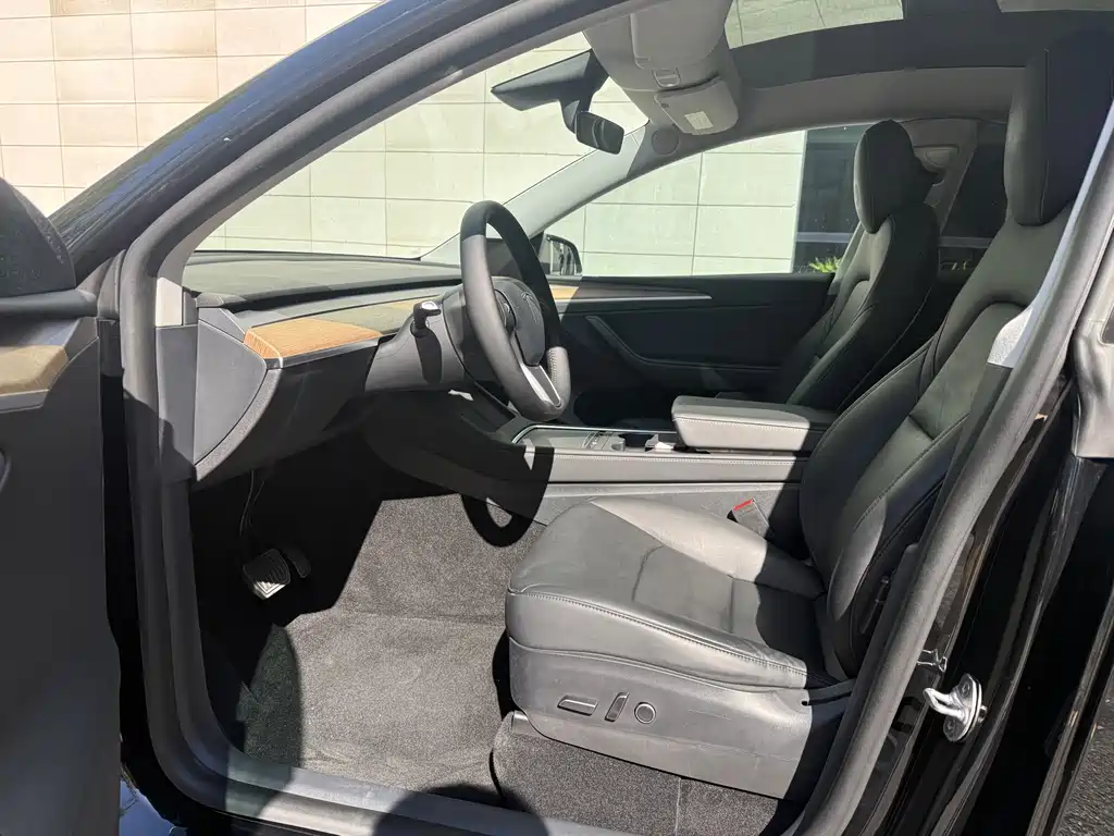 Tesla Model Y — миниатюра 8