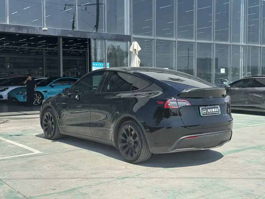 Tesla Model Y — миниатюра 8