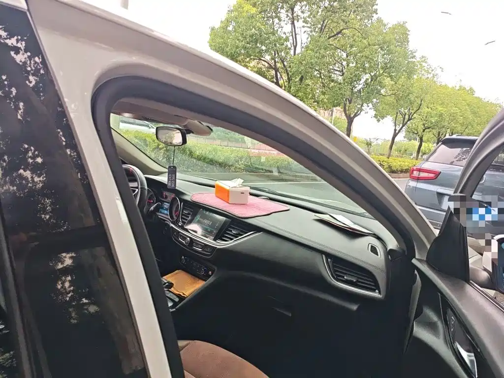 Buick Regal — миниатюра 20