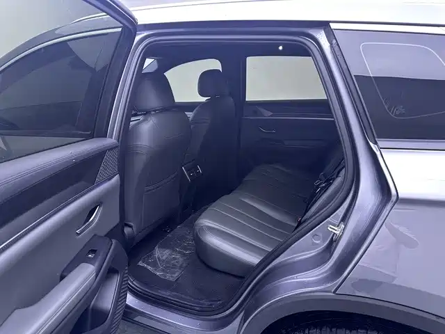 BYD Pro New Energy — миниатюра 14