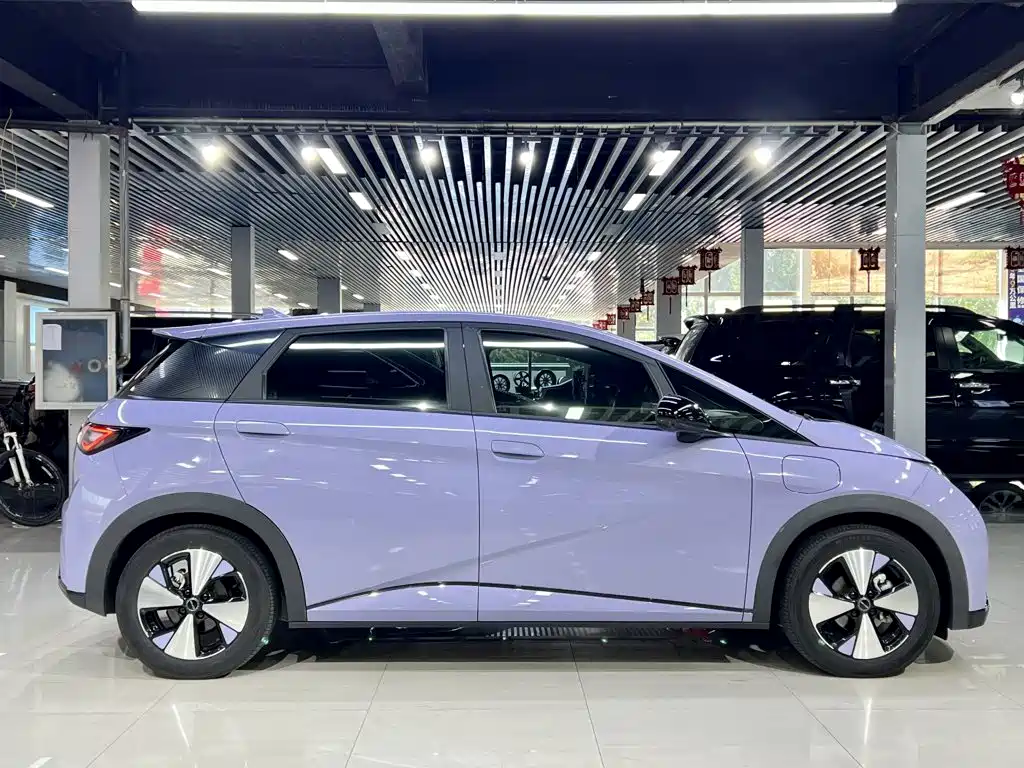 BYD Dolphin — миниатюра 10
