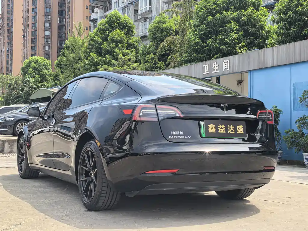 Tesla Model 3 — миниатюра 5