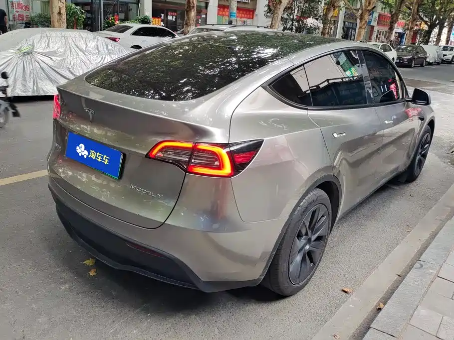 Tesla Model Y — миниатюра 3