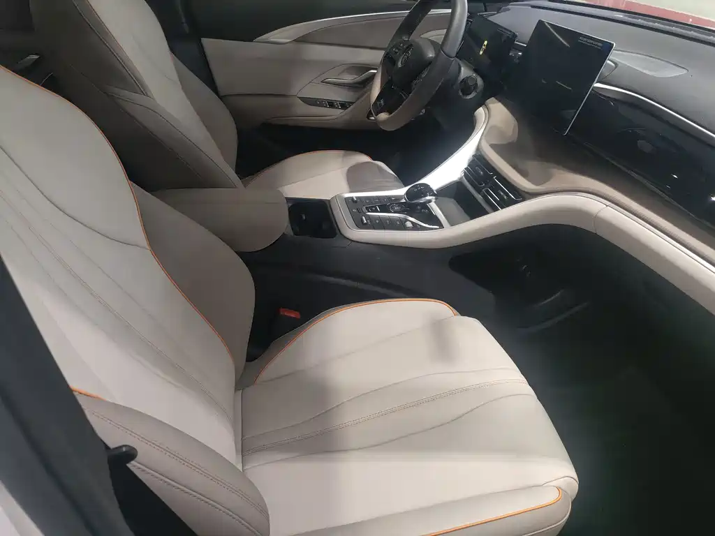 BYD Pro New Energy — миниатюра 4