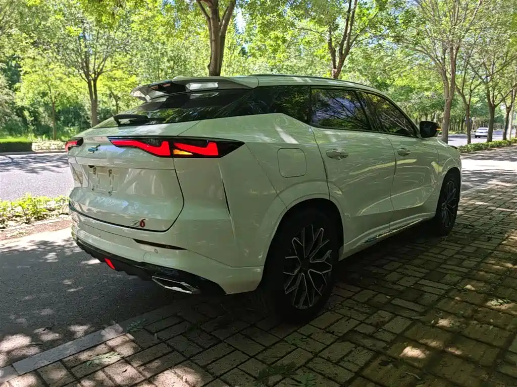Oshan Oushang Z6 New Energy — миниатюра 7