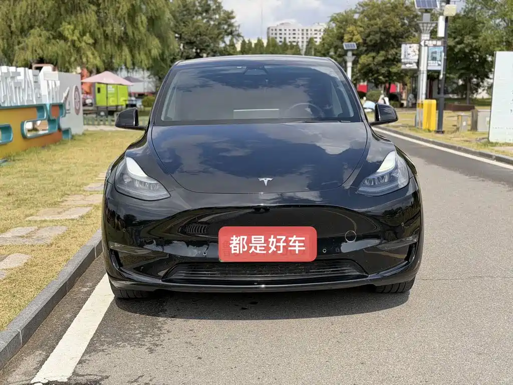 Tesla Model Y — миниатюра 2