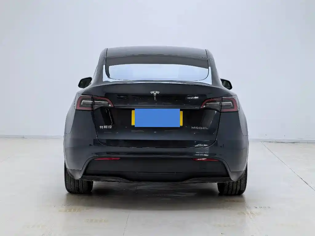 Tesla Model Y — миниатюра 10