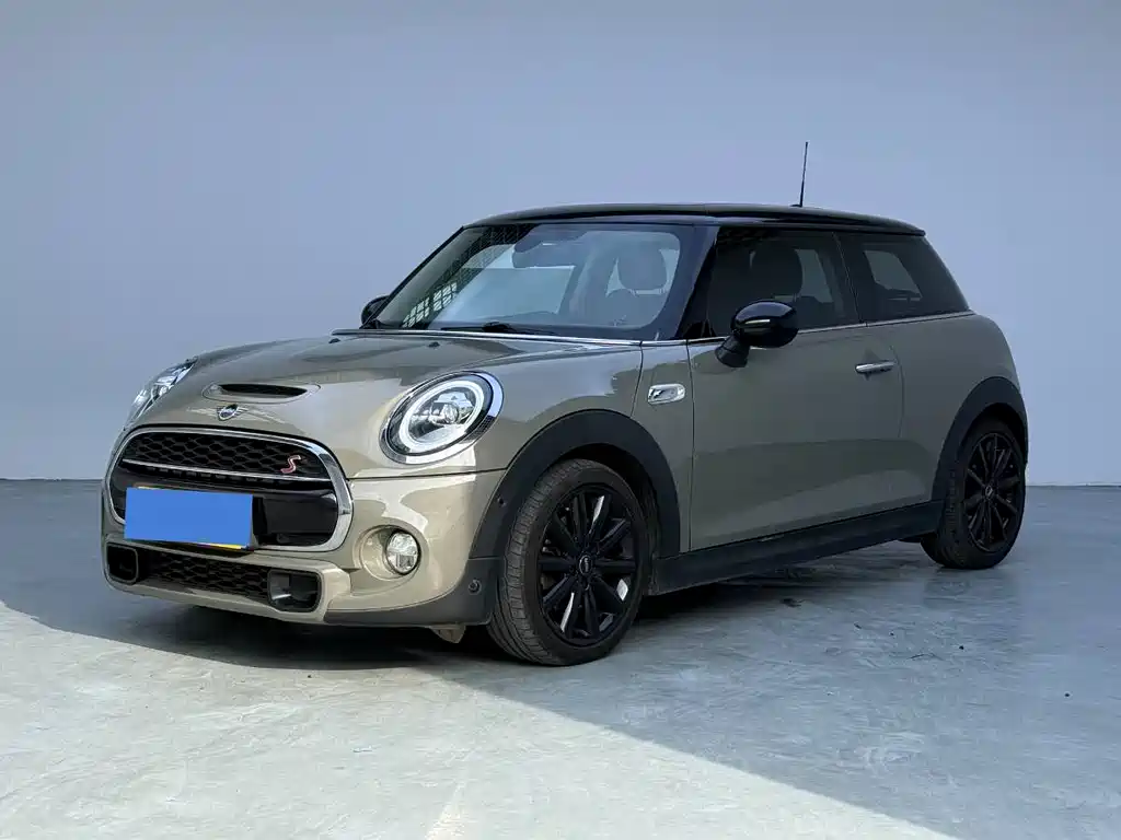 Mini Mini 2020