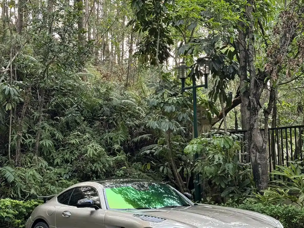 Mercedes-Benz AMG GT