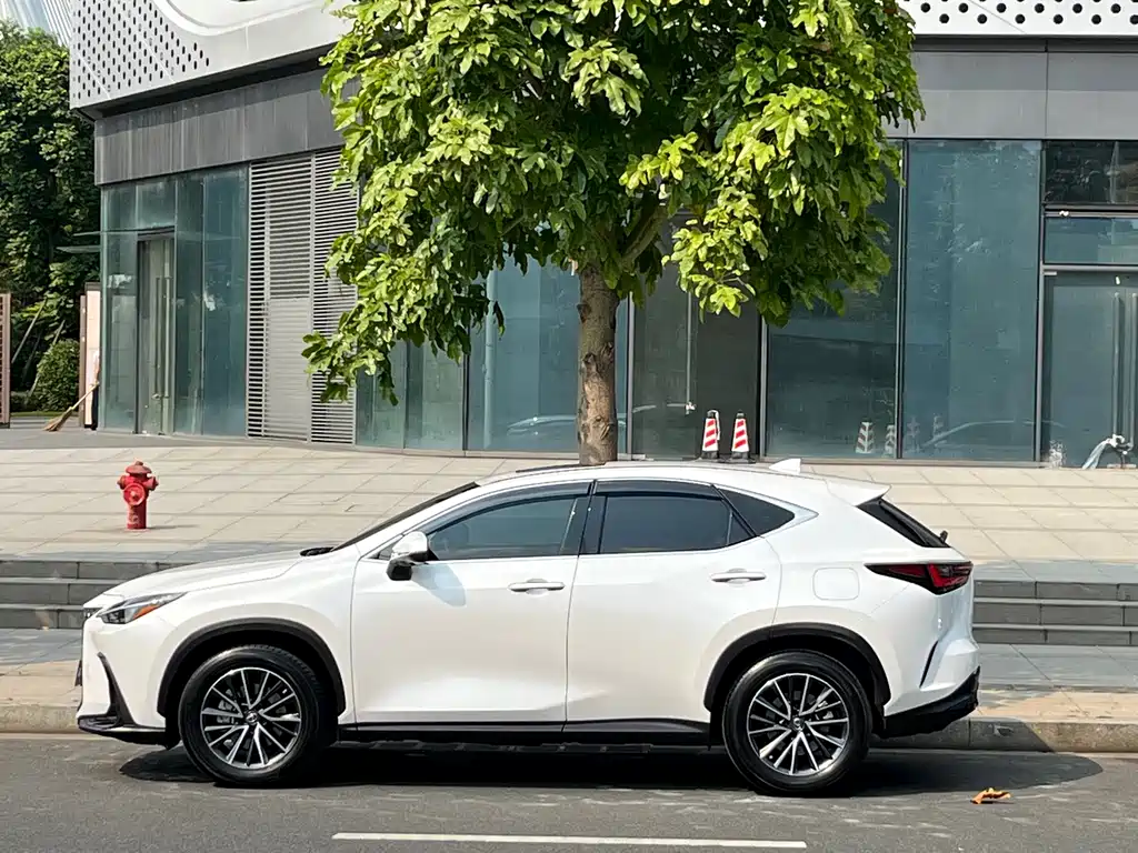 Lexus NX — миниатюра 6