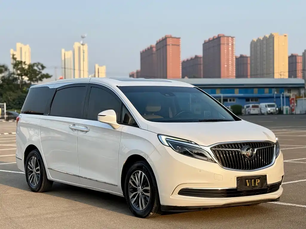 Buick GL8 — миниатюра 3