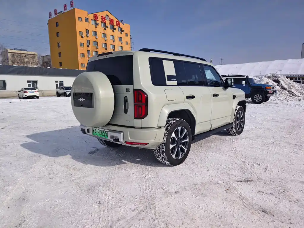 FANG CHENG BAO LEOPARD 5