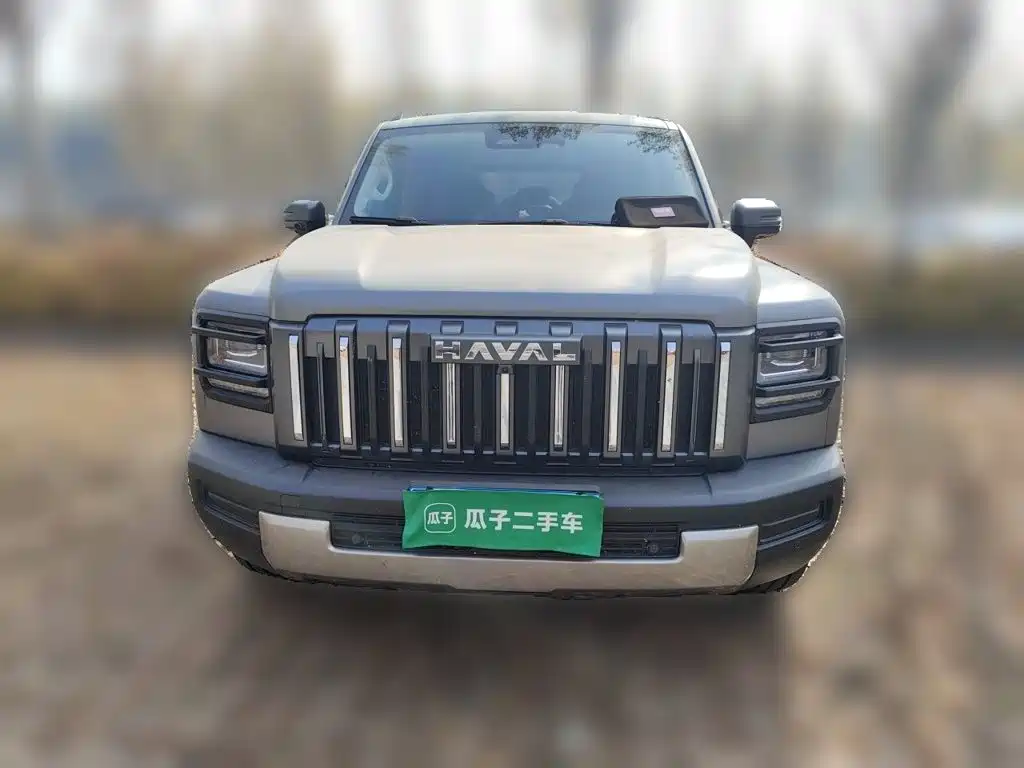 Haval Menglong Petrol — миниатюра 23