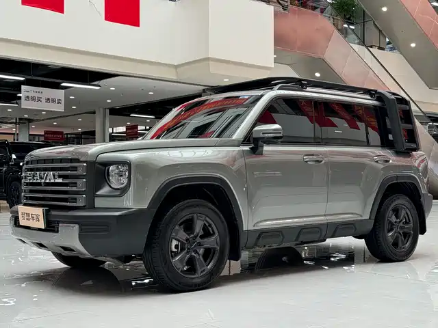HAVAL  RAPTORS NEW ENERGY 2024