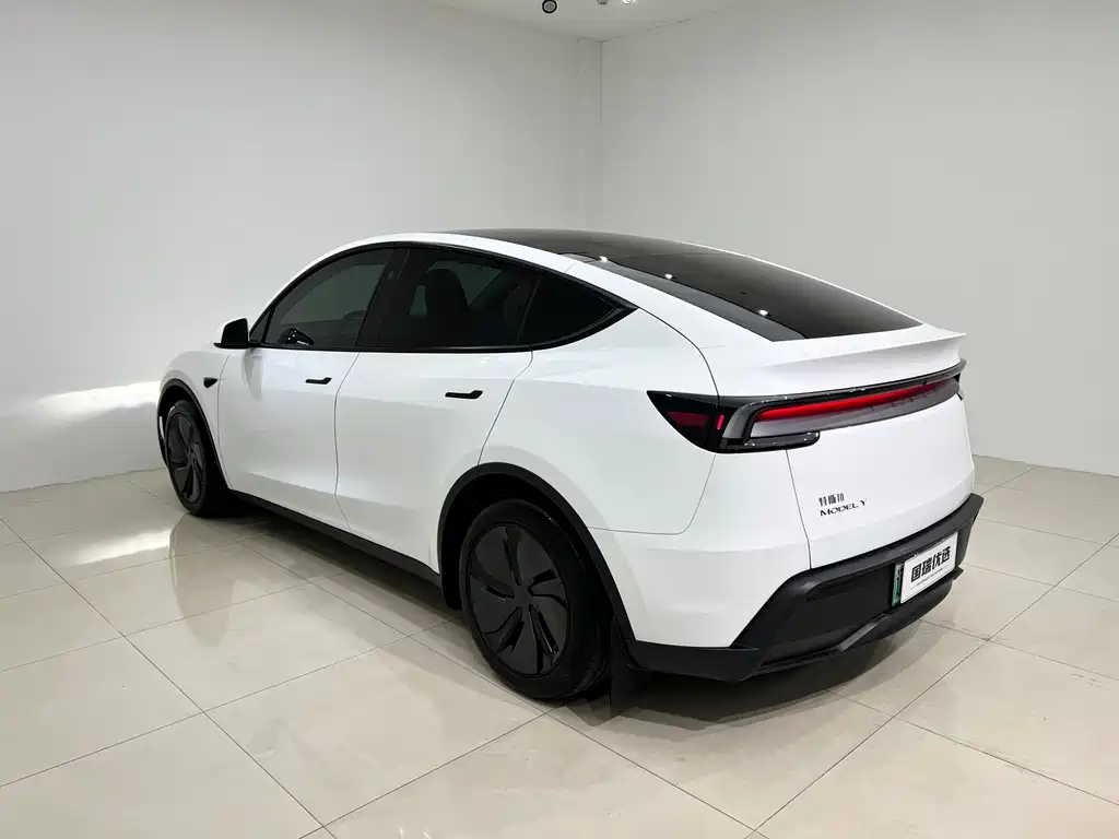 Tesla Model Y — миниатюра 4
