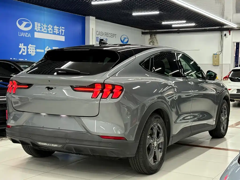 Ford Mustang Mach-E — миниатюра 5