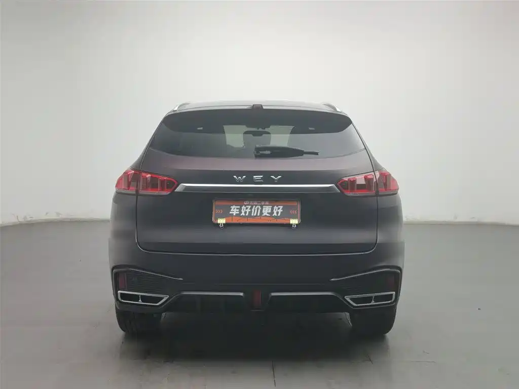 WEI PAI WEI BRAND VV5