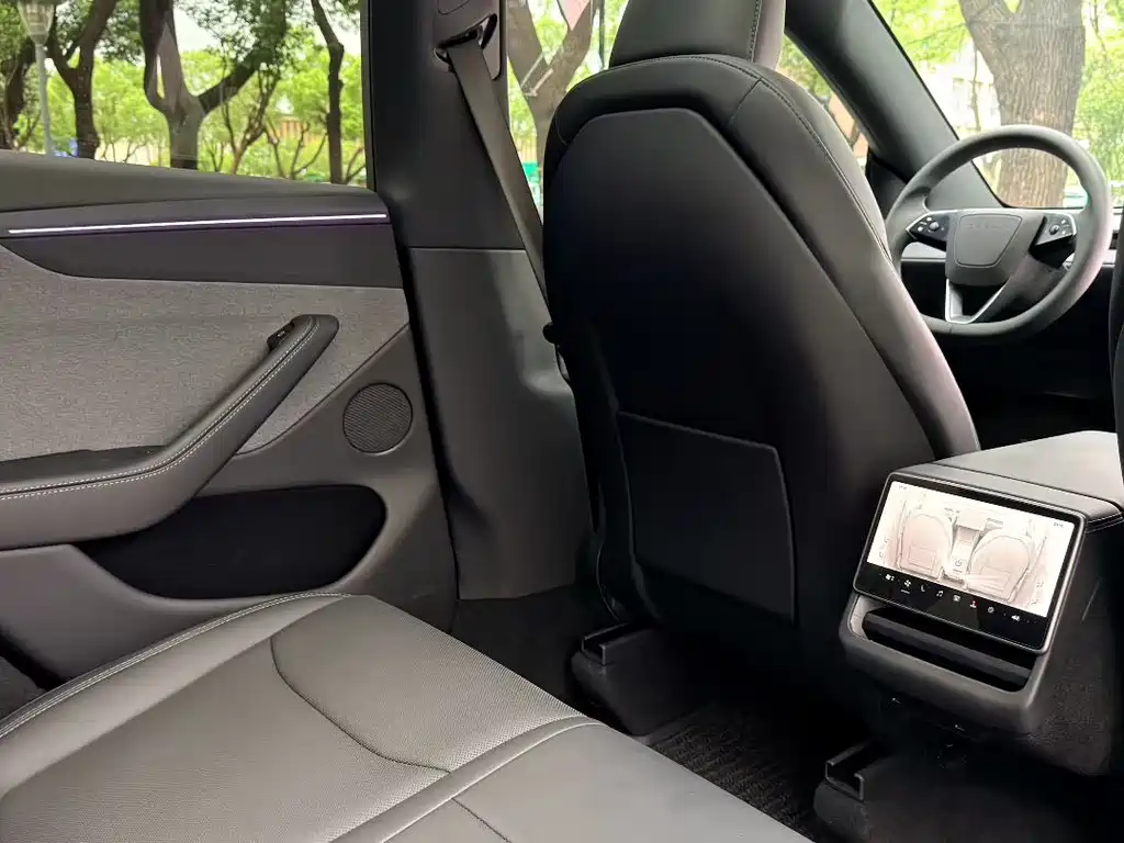 Tesla Model Y — миниатюра 6