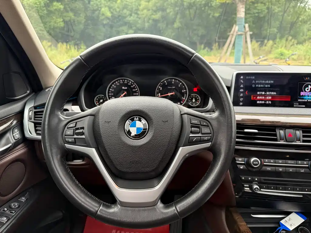 BMW X5 (Import) — миниатюра 13