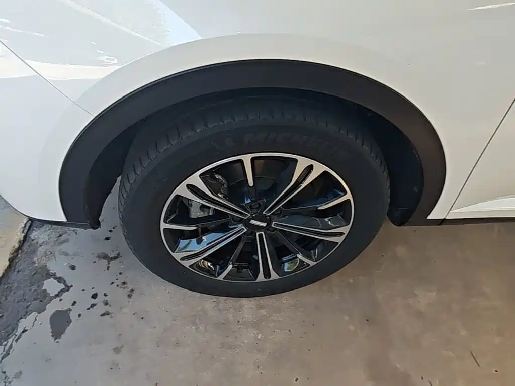 Wey Wey VV6 — миниатюра 23