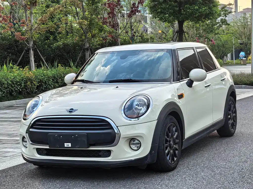 Mini Mini 2018