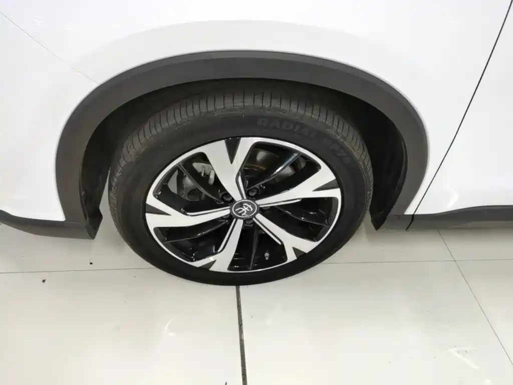 BYD Pro New Energy — миниатюра 23