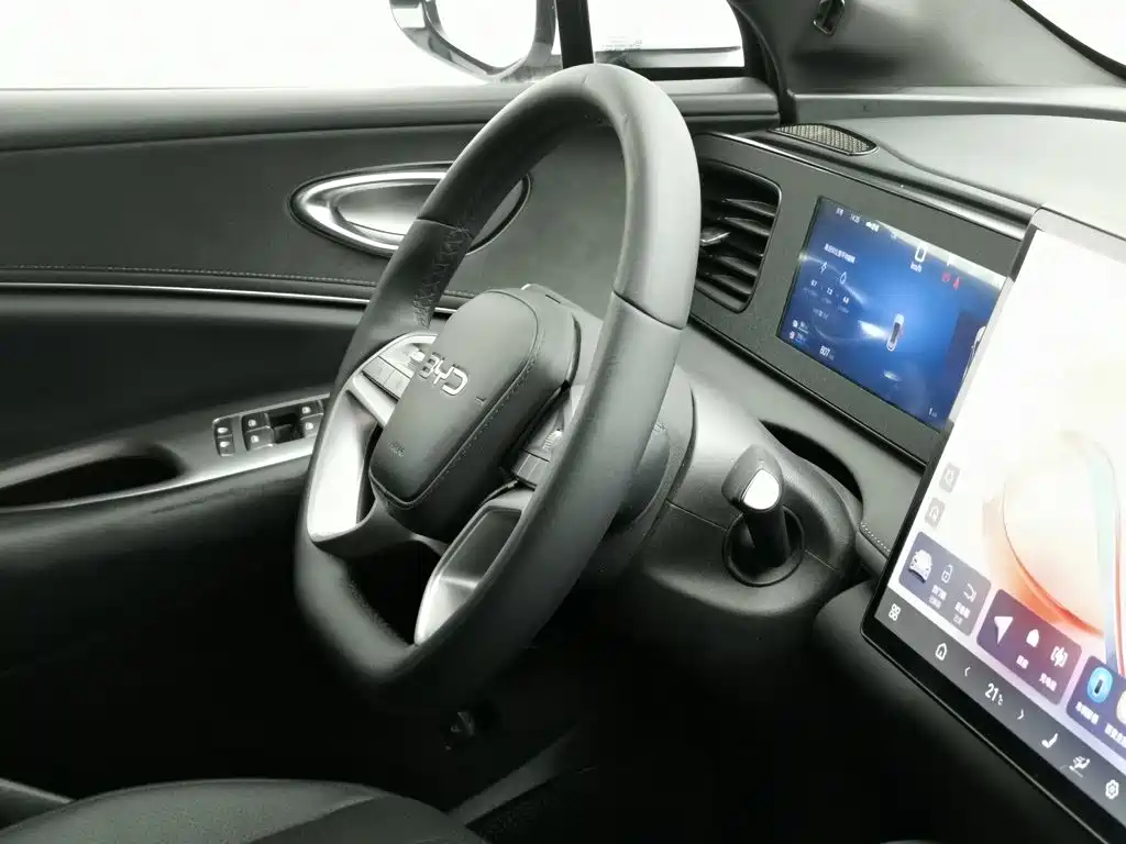 BYD Sealion 06 — миниатюра 22