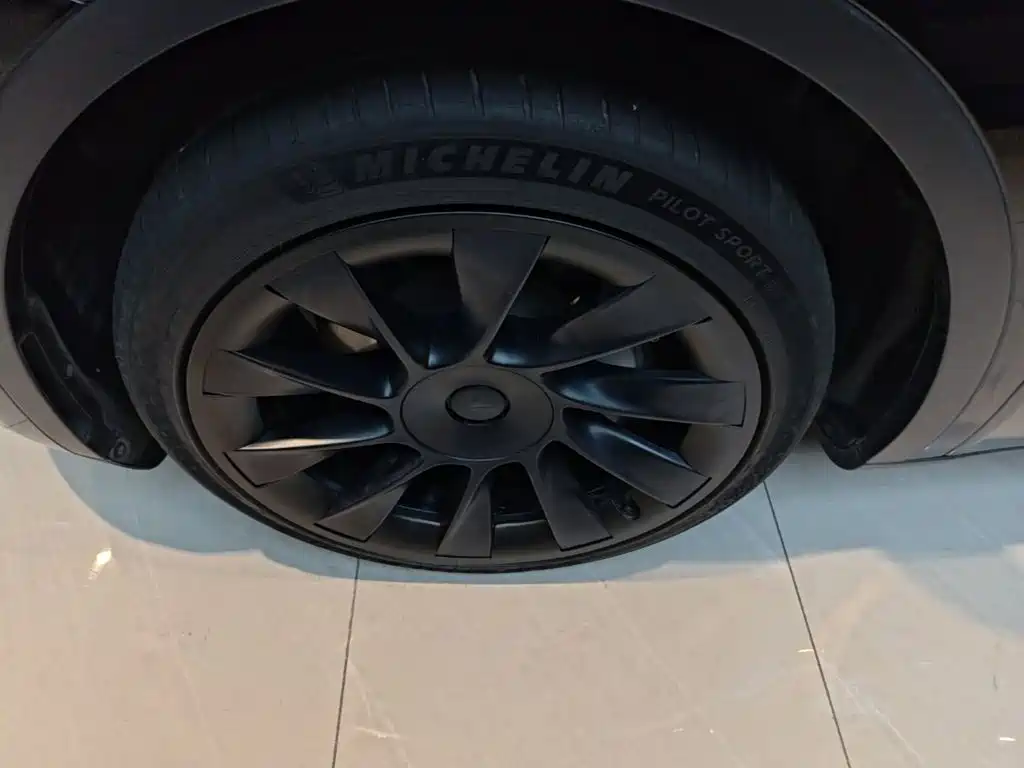 Tesla Model Y — миниатюра 23