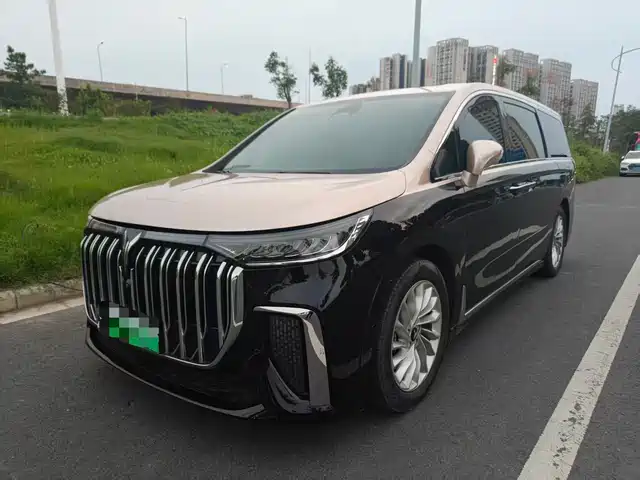 2024 Voyah Dream