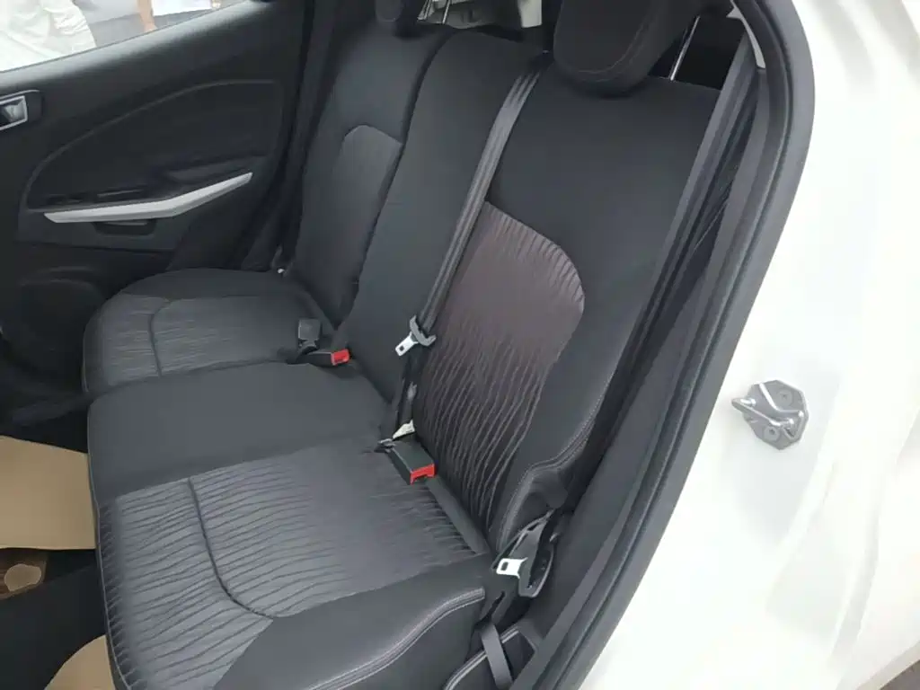 Ford Ecosport — миниатюра 17