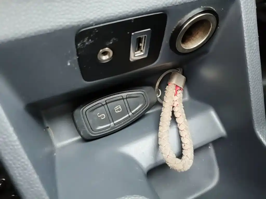 Ford Ecosport — миниатюра 9