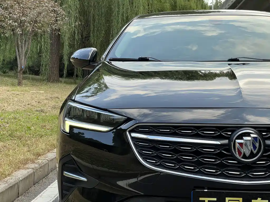 Buick Regal — миниатюра 12