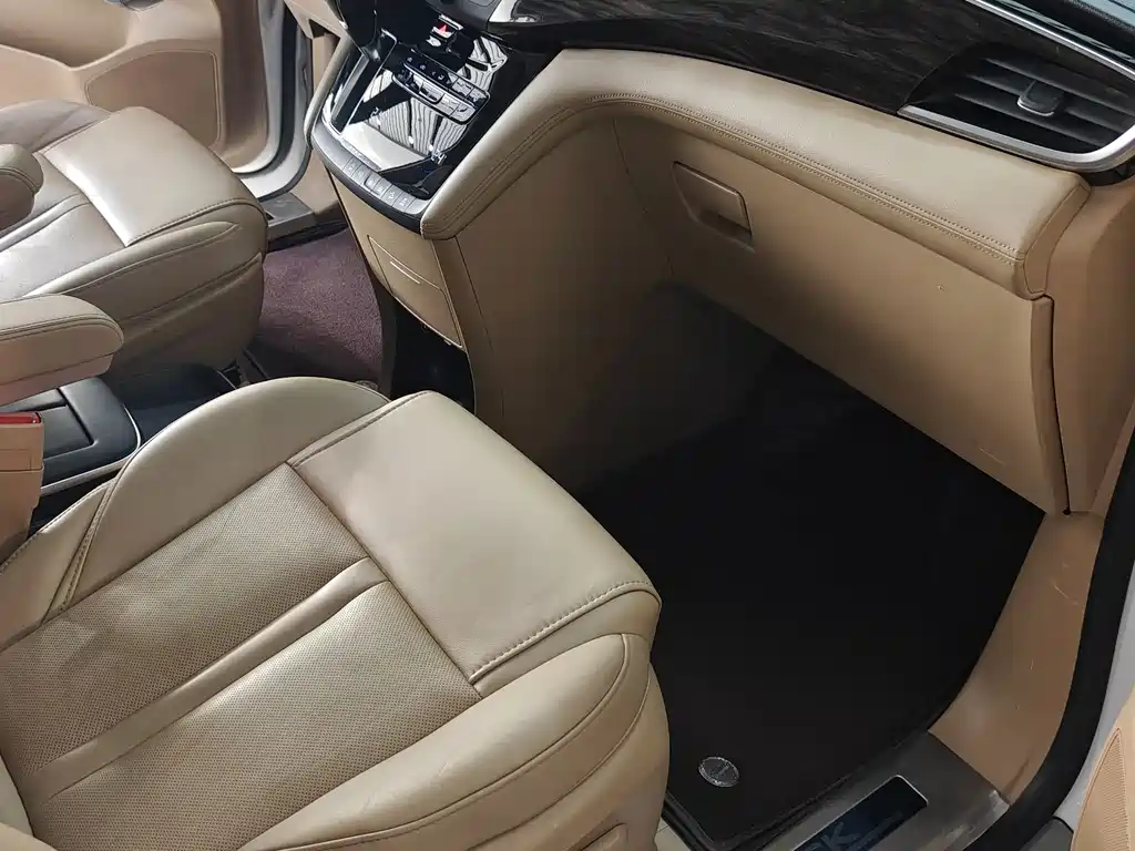 Buick GL8 — миниатюра 9