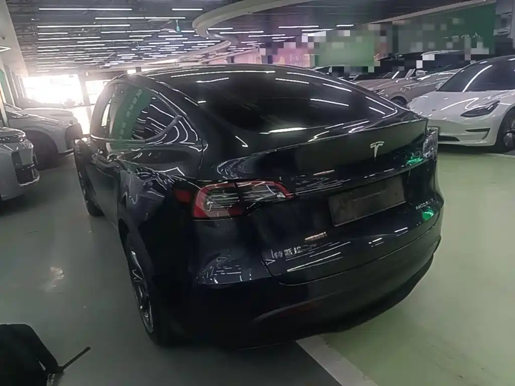 Tesla Model Y — миниатюра 5