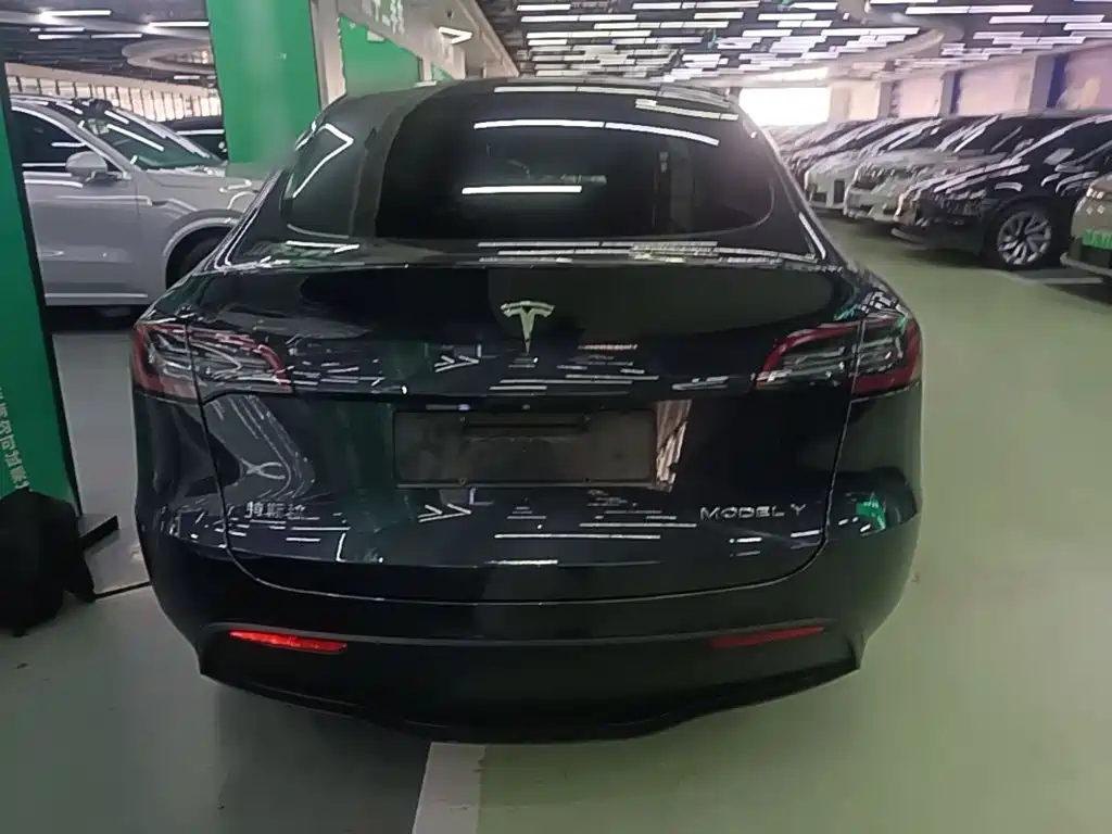 Tesla Model Y — миниатюра 6