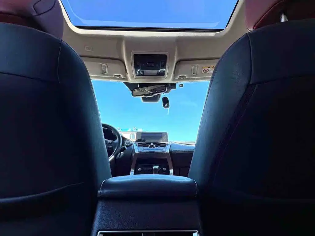 Lexus NX — миниатюра 11