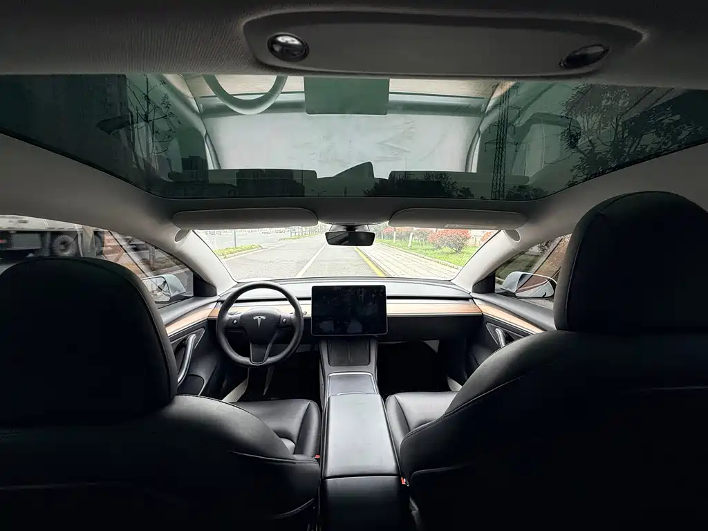Tesla Model 3 — миниатюра 13