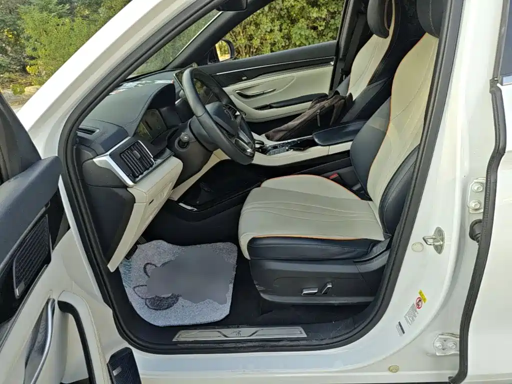 BYD PLUS New Energy — миниатюра 15