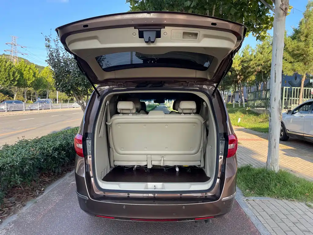 Buick GL8 — миниатюра 15