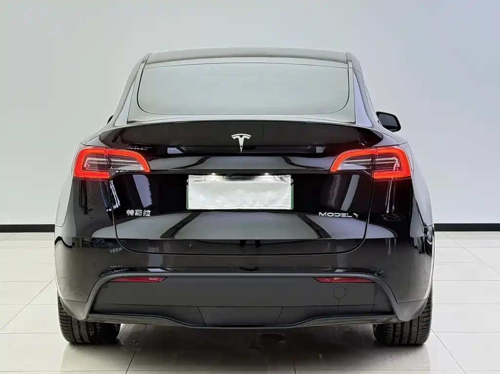 Tesla Model Y — миниатюра 14